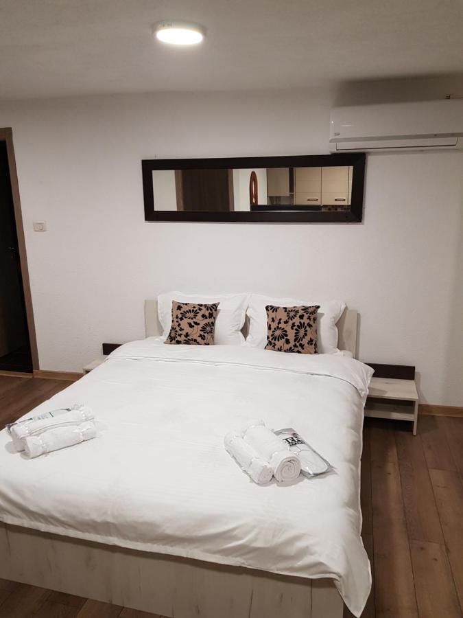 Apartmán Casa Gina Arad Exteriér fotografie